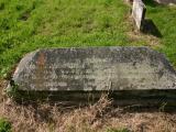 image of grave number 19342